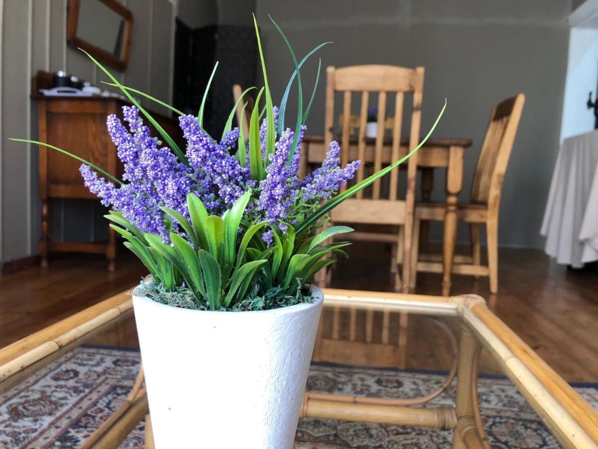 The Lavender Guesthouse Kroonstad Exteriör bild